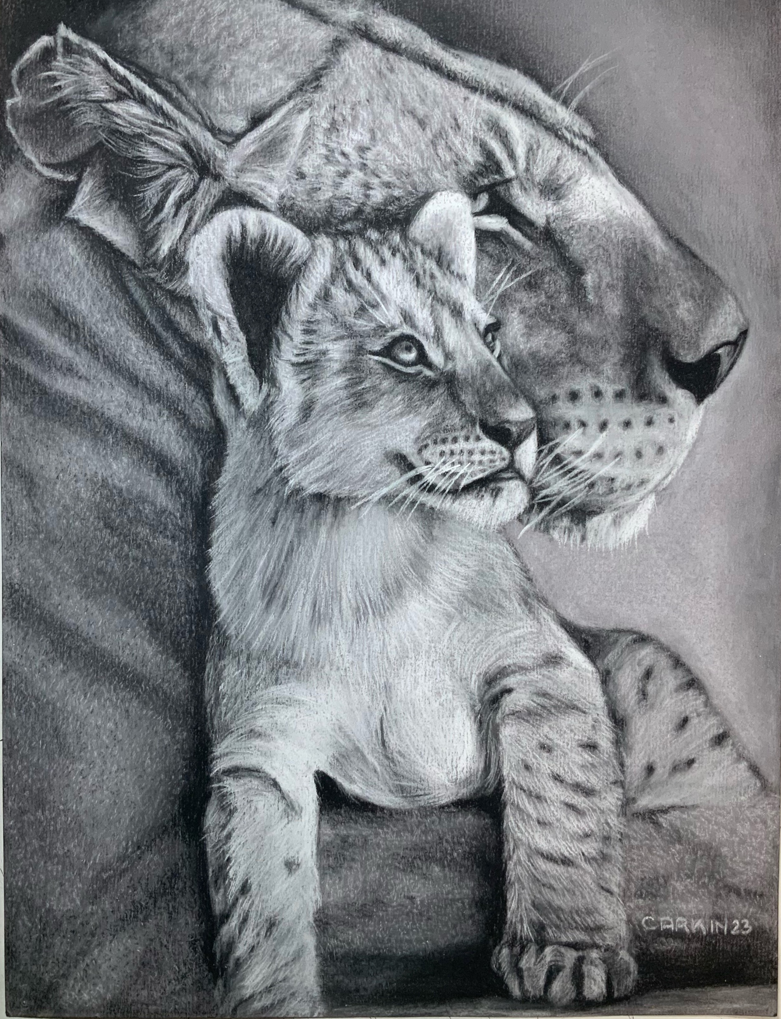leoncito