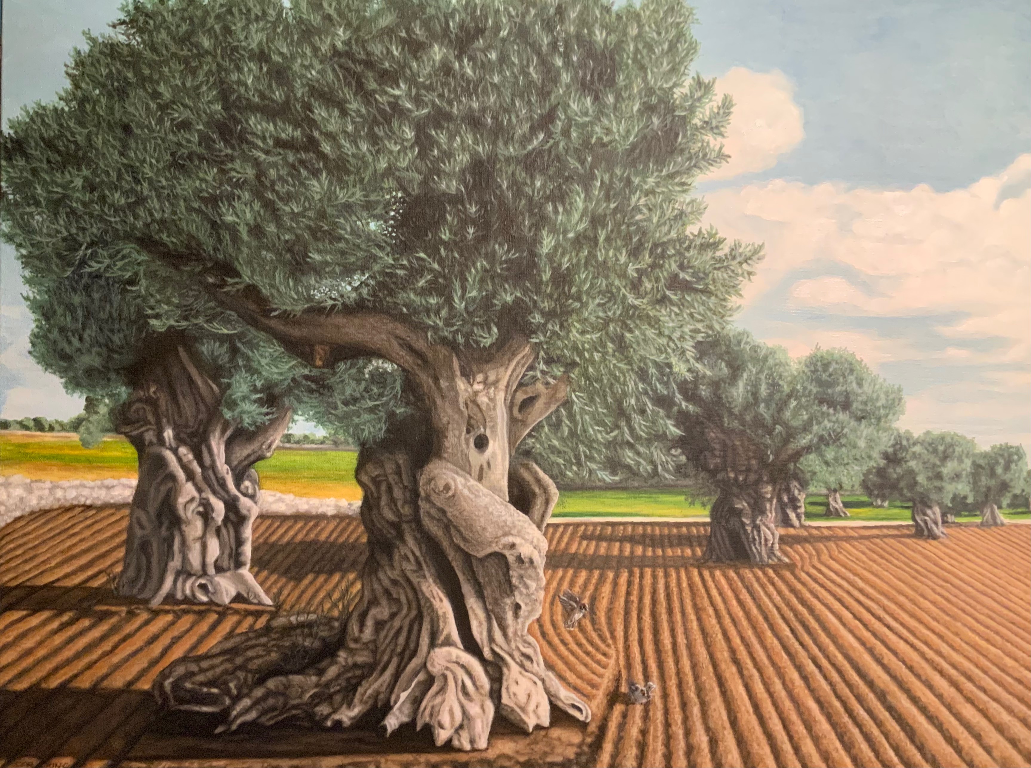 Óleo 1
