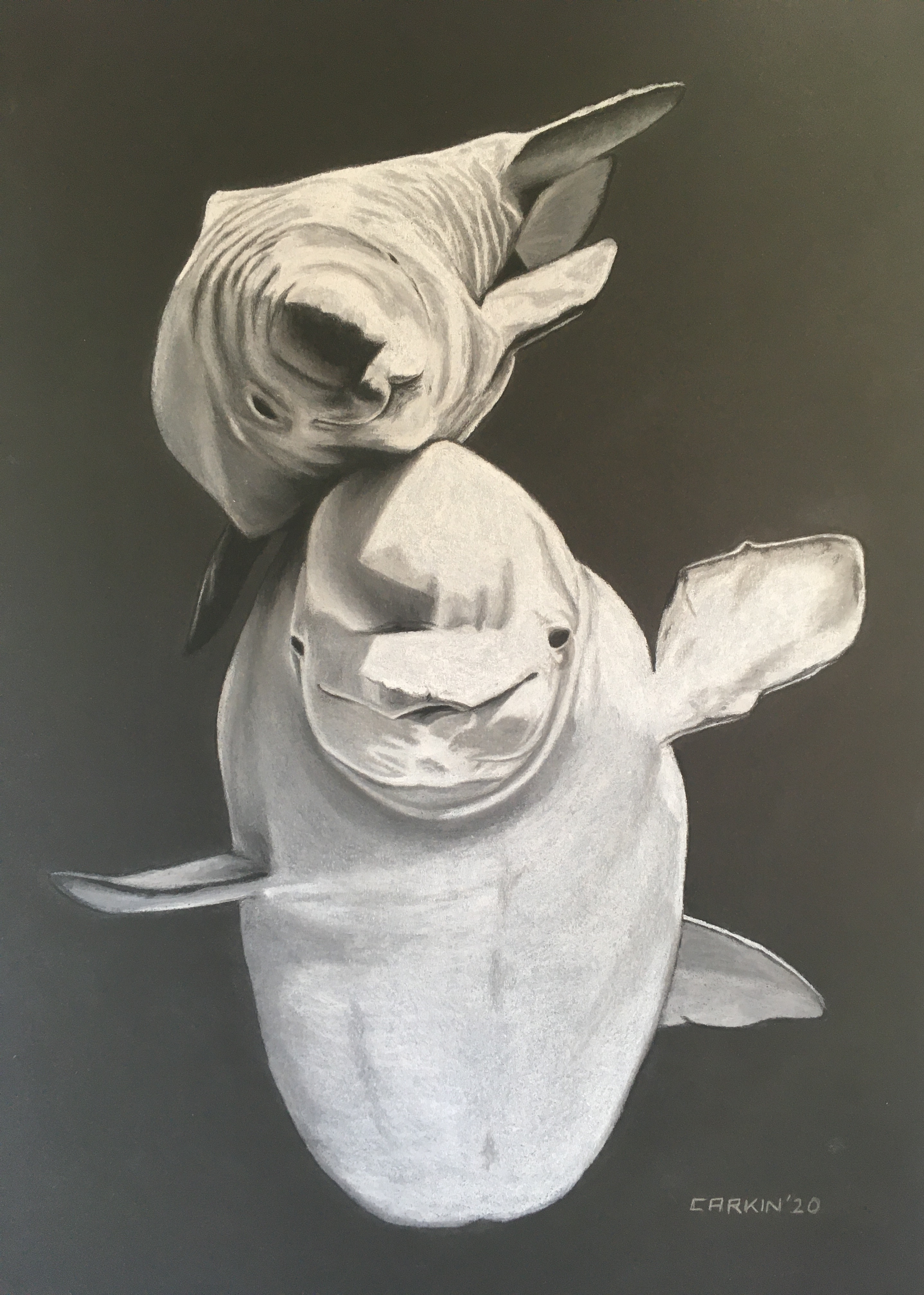 Pastel 6