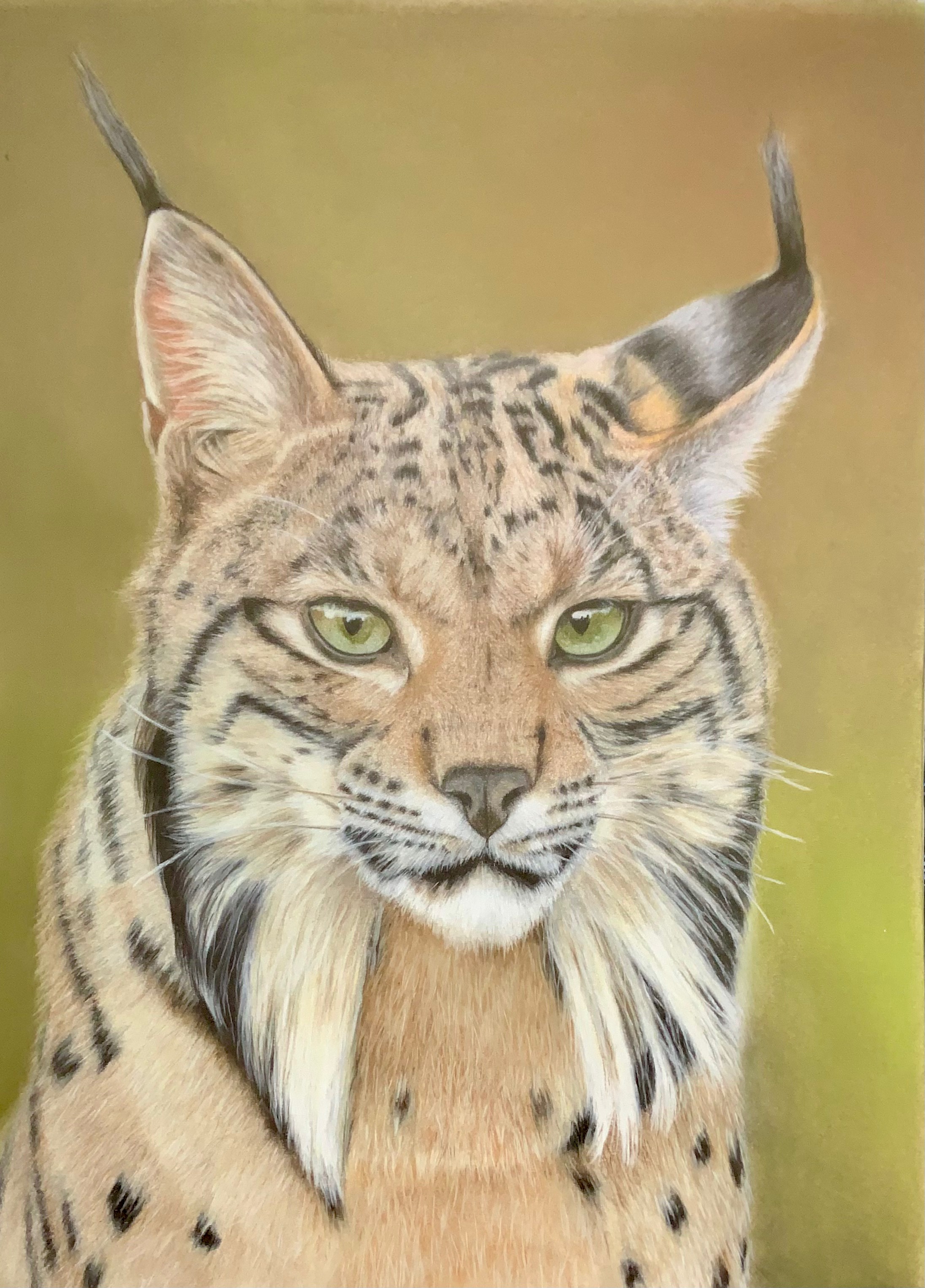 Pastel 2
