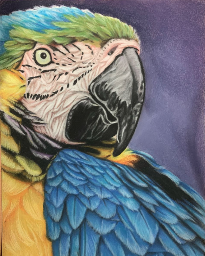 Pastel 3