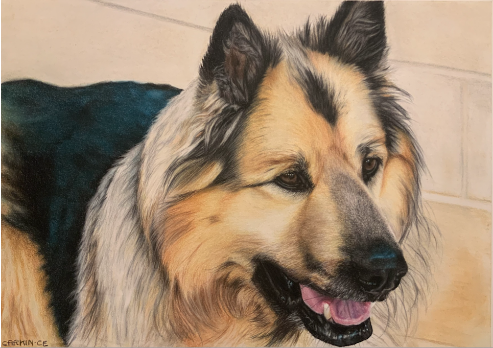 Pastel 2