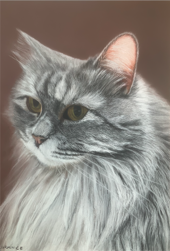 Pastel 1